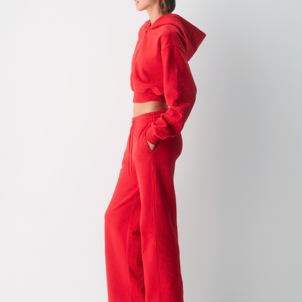 Aritzia Red Track Pants - Picture 5 of 12